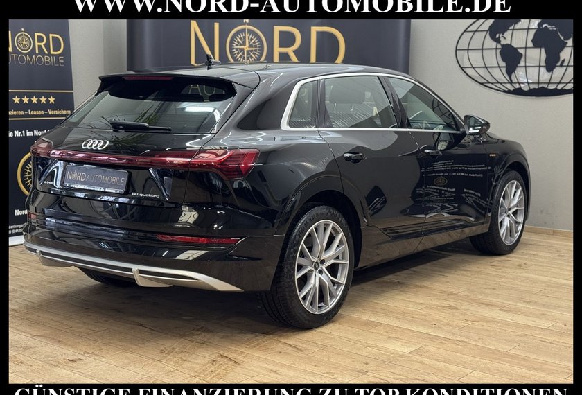 Audi e-tron e-tron 50 QU.S-Line B&amp;O/21/Navi/Teilleder/LED