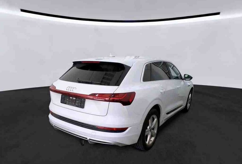 Audi e-tron e-tron 50 QU.S-Line Teilleder/Kamera/20/LED