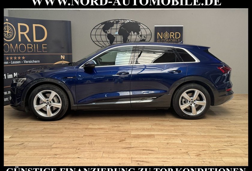 Audi e-tron e-tron 50 Advanced QU.Leder/Kamera/20/Navi/