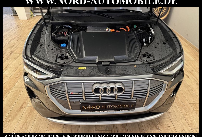 Audi e-tron e-tron 55 QU.S-Line AHK/Matrix/Kamera/21/B&amp;O