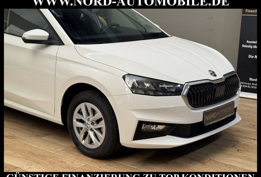 Skoda Fabia Fabia Ambition 1.0 TSI LED/Klima/PDC/15