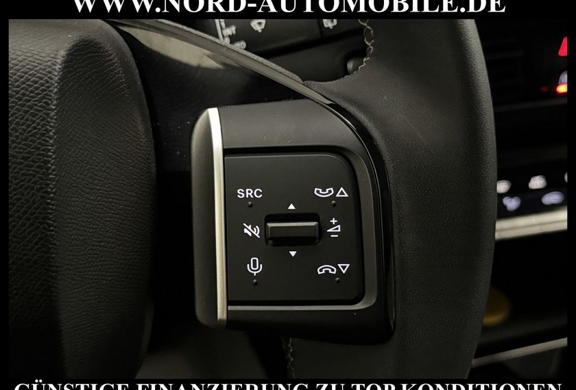 Citroën ë-C3 ë-C3 113 MAX *17ZOLL*NAVI*KAM*LED*UPE:29*