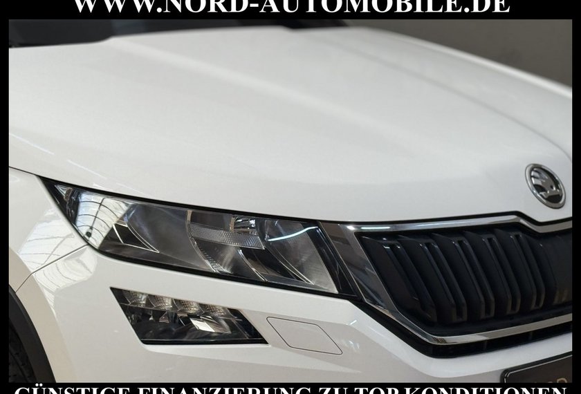 Skoda Kodiaq Kodiaq SCOUT 2.0 TDI DSG 4x4 *AHK*STHZ*19ZOLL*