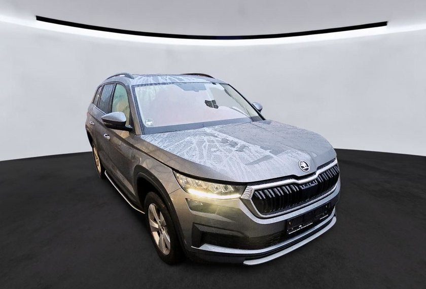 Skoda Kodiaq Kodiaq Ambition 2.0 TDI DSG Leder/AHK/Trittbrett