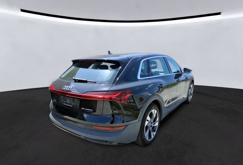 Audi e-tron e-tron QU. 55 Automatik Teilleder/Navi/LED/20