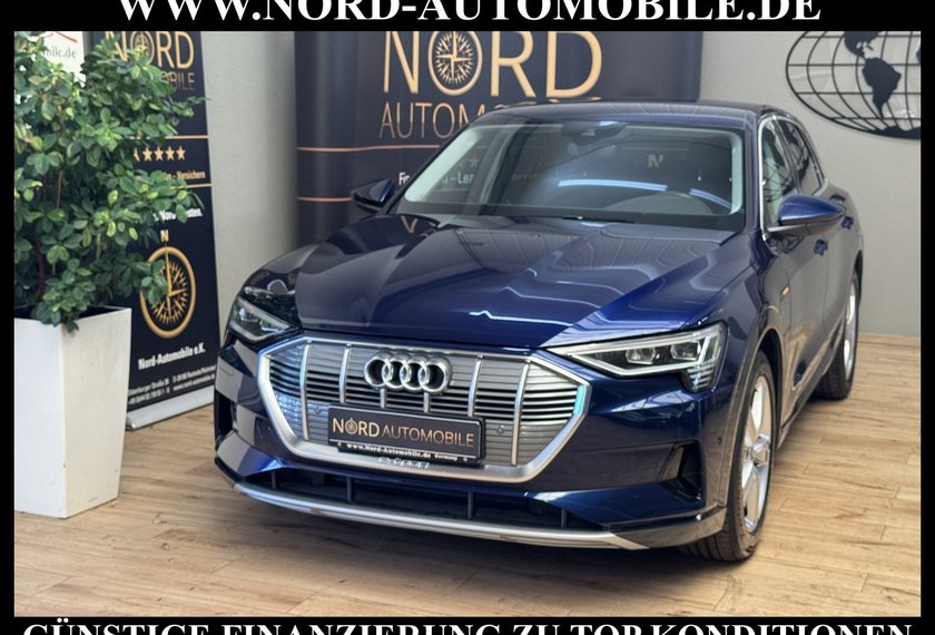Audi e-tron e-tron 50 Advanced QU.Leder/Kamera/20/Navi/