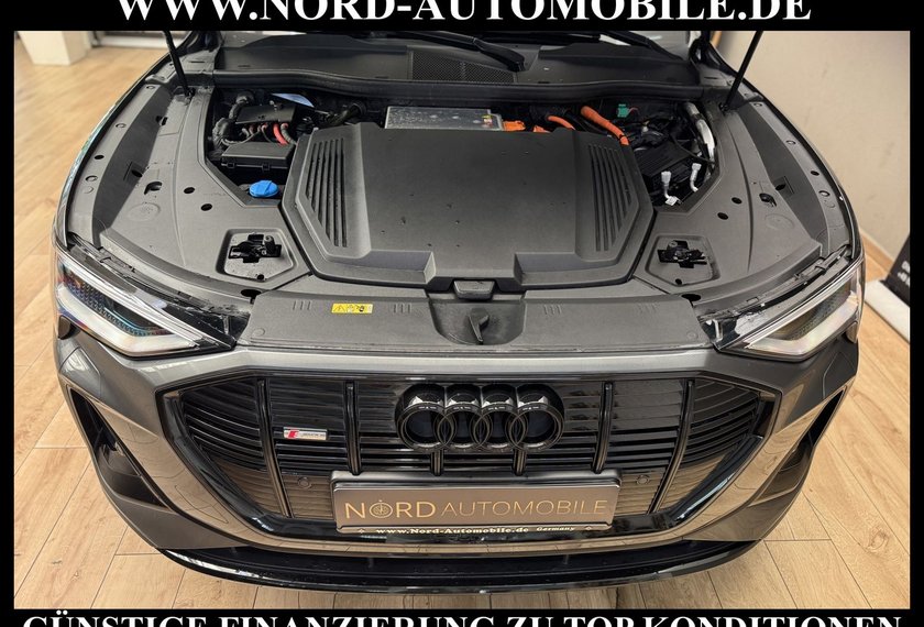 Audi e-tron e-tron 55 QU.S-Line Leder/Kamera/B&amp;O/21/Leder