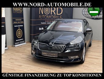 Skoda Superb Superb 2.0 TDI DSG Limo Leder/Navi/Xen/Kamera Pr