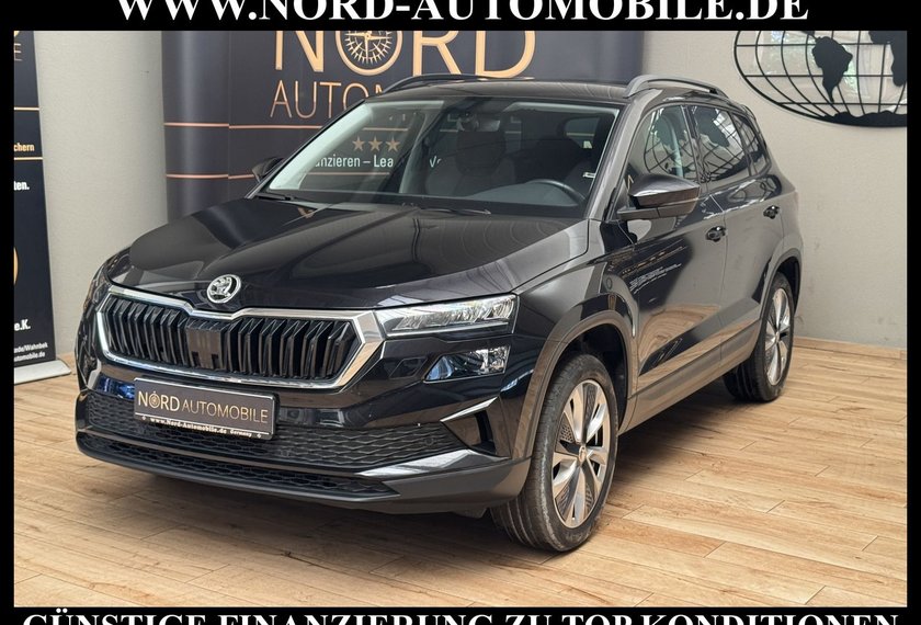 Skoda Karoq Karoq Style 2.0 TDI DSG Virt.Cockpit/Kamera/18