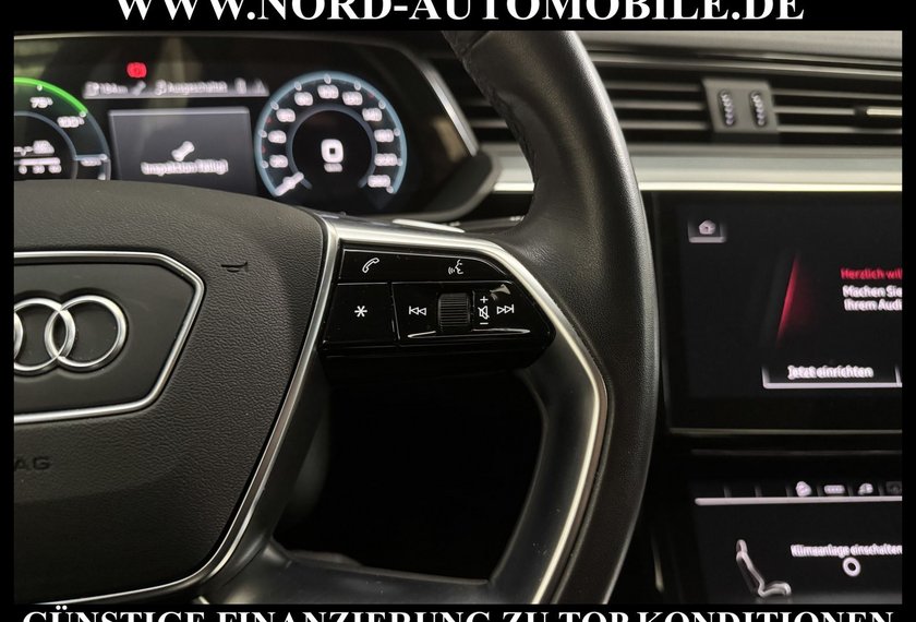 Audi e-tron e-tron 50 QU. Kameras/Navi/LED/