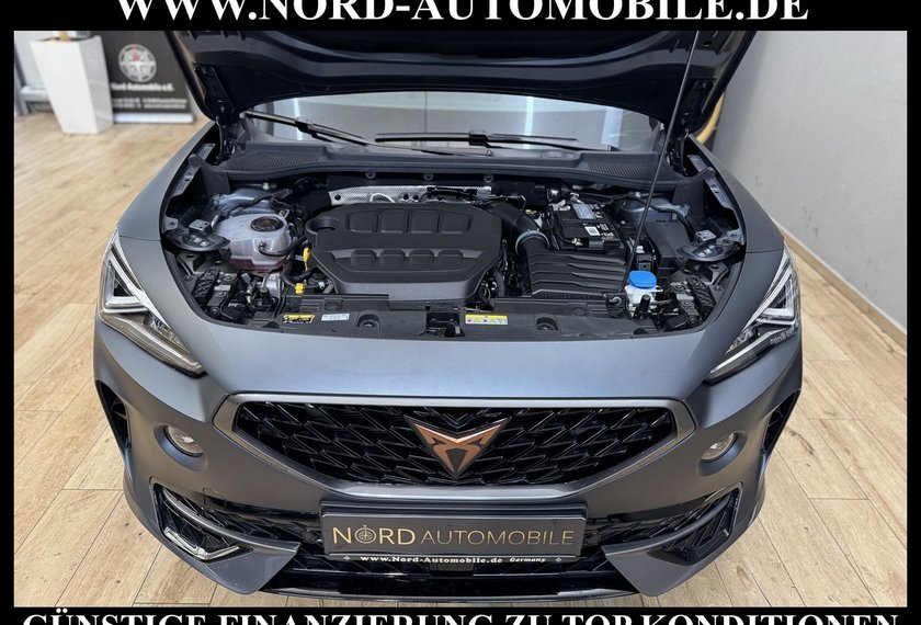 Cupra Formentor Formentor 2.0 TSI VZ AHK/Pano/Leder/Mattlack/