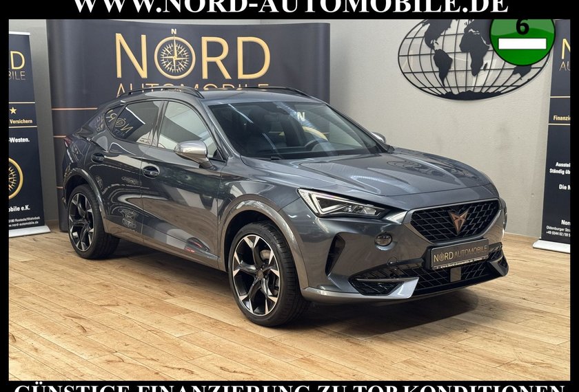 Cupra Formentor Formentor 2.0 TDI DSG AHK/Beats/19/StHz/Navi/