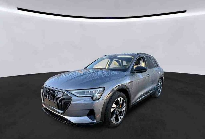 Audi e-tron e-tron 55 QU.Advanced Optik schwarz/Kamera/20/