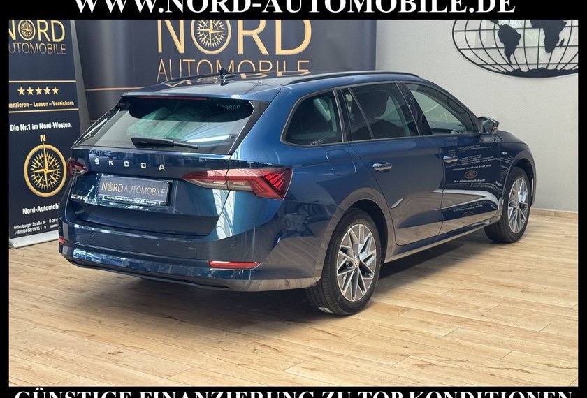 Skoda Octavia Octavia Combi Ambition 2.0 TDI DSG Navi/ACC/17