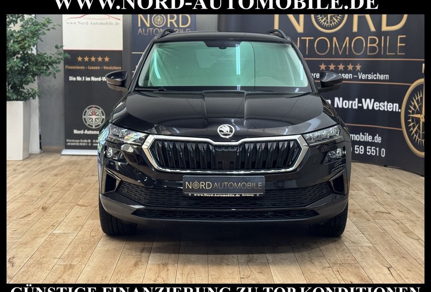 Skoda Karoq Karoq 2.0 TDI Style DSG Kamera/Virt.Cockpit/Navi