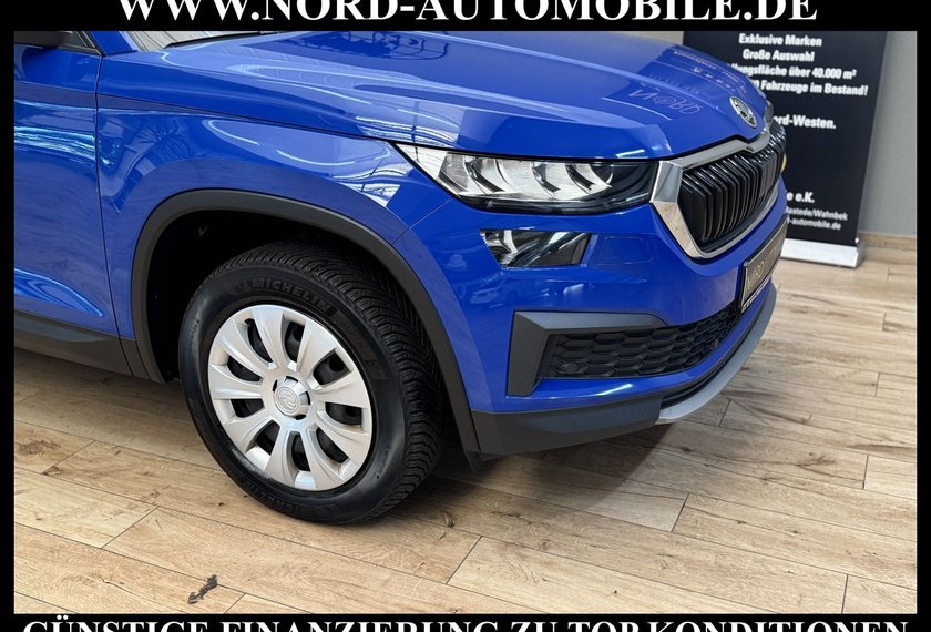 Skoda Kodiaq Kodiaq Active 2.0 TDI DSG LED/AHK/SHZ