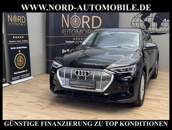 Audi e-tron e-tron 55 QU.Panorama/Leder/Kamera/SHZ