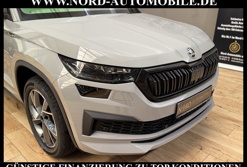 Skoda Kodiaq Kodiaq Sportline 2.0 TDI DSG Leder/AHK/Kamera/19