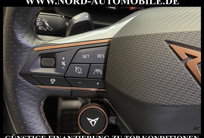 Cupra Formentor Formentor VZ 2.0 TSI DSG Matrix/Kamera/Beats/19