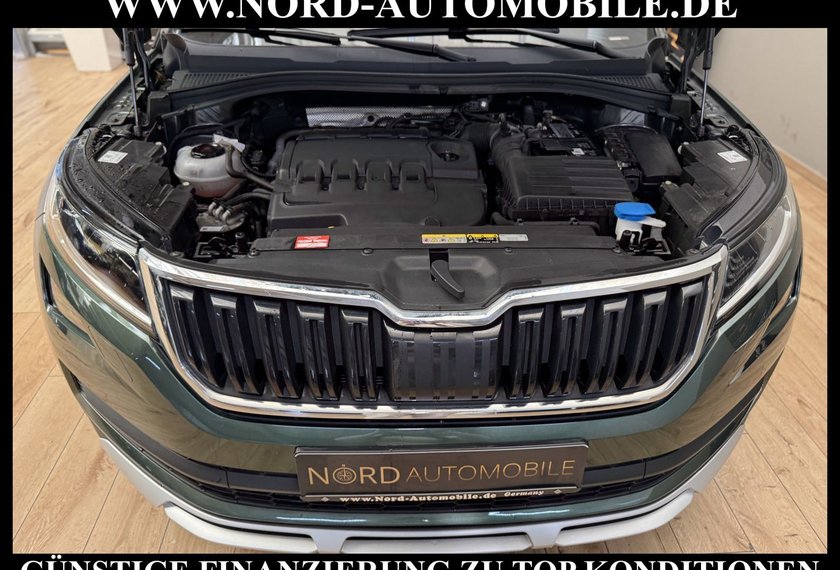 Skoda Kodiaq Kodiaq Scout 2.0 TDI 4x4 Navi/LED/Kamera/19