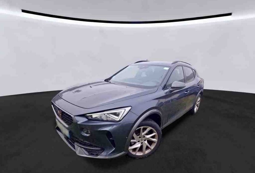 Cupra Formentor Formentor 1.5 TSI DSG Kamera/Side&amp;Lane/18