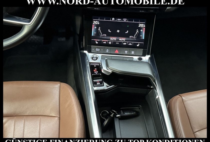 Audi e-tron e-tron 50 QU. Leder*Kamera*LED*21''*Navi*