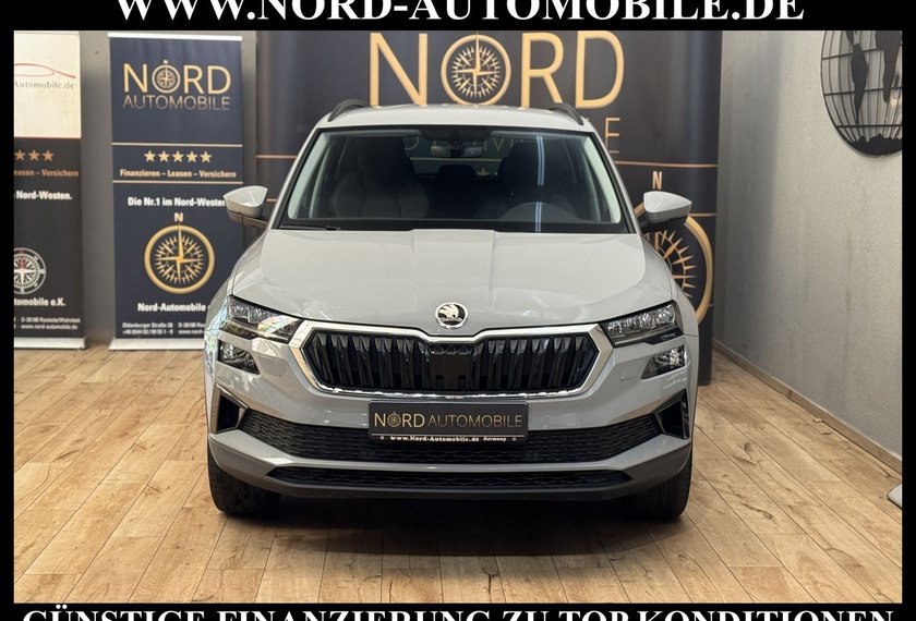 Skoda Karoq Karoq Style 2.0 TDI Navi/Kamera/Virt.Cockpit/18