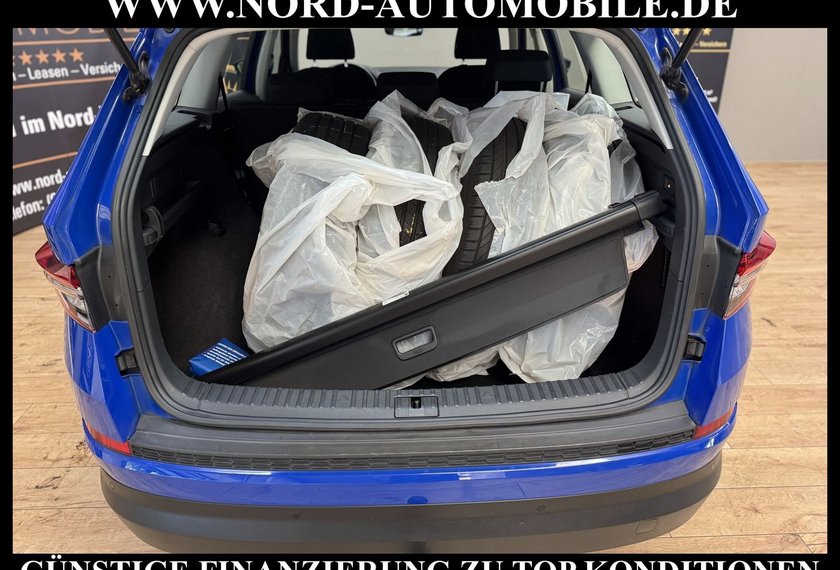 Skoda Kodiaq Kodiaq Active 2.0 TDI DSG LED/AHK/SHZ