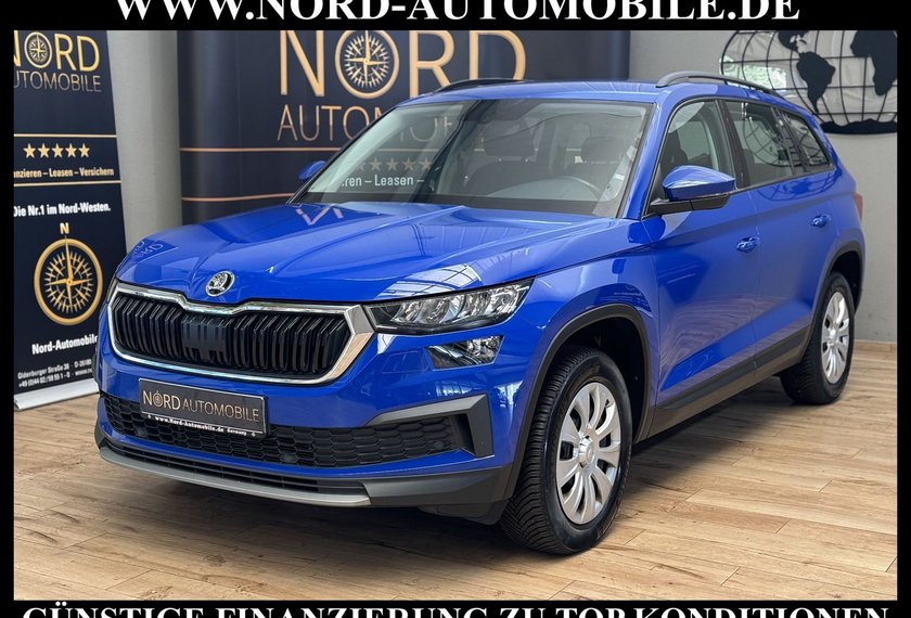 Skoda Kodiaq Kodiaq Active 2.0 TDI DSG LED/AHK/SHZ