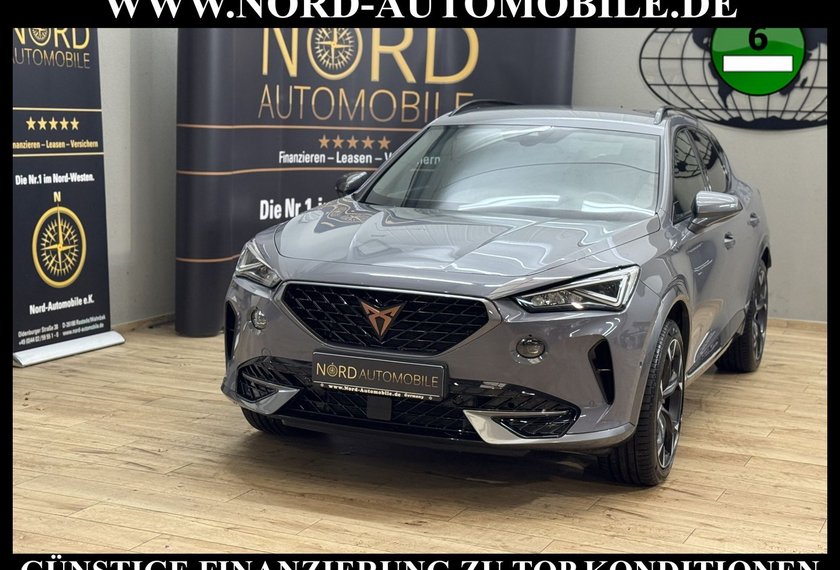 Cupra Formentor Formentor 2.0 TDI DSG Leder/Kamera/Navi/19/