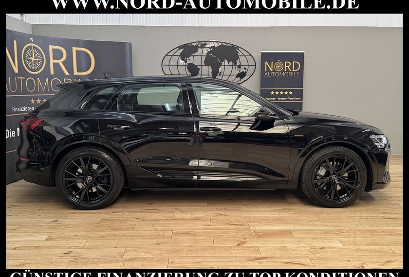 Audi e-tron e-tron 50 QU. S-Line Leder/Navi/LED/21/