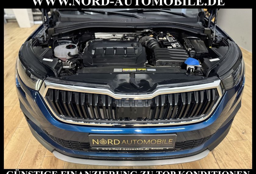 Skoda Kodiaq Kodiaq 2.0 TDI DSG *AHK*PANO*STHZ*VIRTUAL*