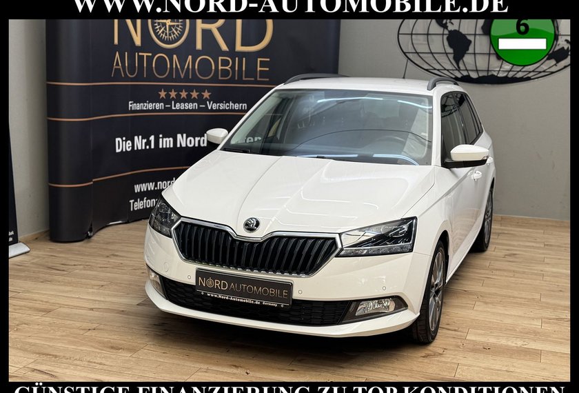 Skoda Fabia Fabia Combi Ambition 1.0 TSI Navi/LED/PDC/16