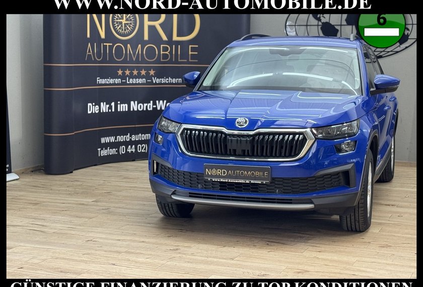 Skoda Kodiaq Kodiaq 2.0 TDI DSG Ambition *LED*STHZ*VIRT*ACC*