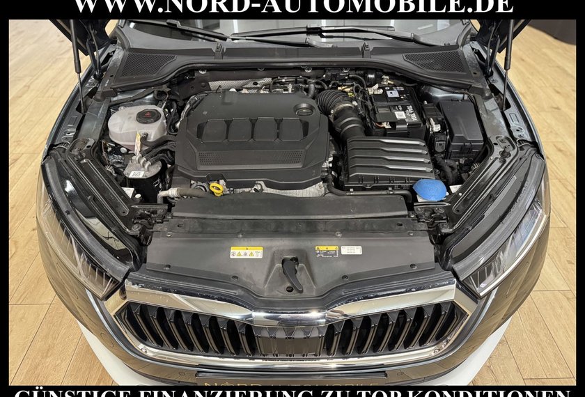 Skoda Octavia Octavia Scout Combi 2.0 TDI DSG AHK/Head-Up/