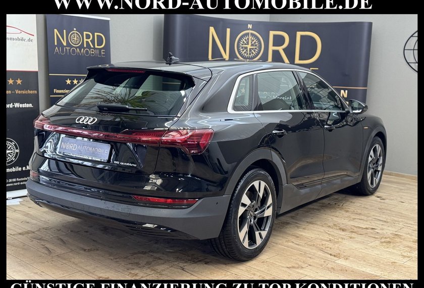 Audi e-tron e-tron 55 QU. Teilleder/AHK/Kamera/20/