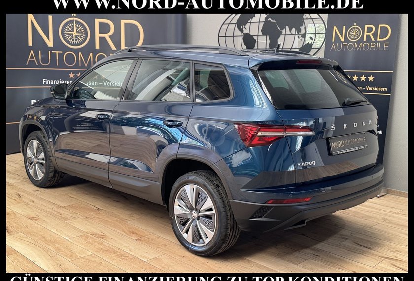 Skoda Karoq Karoq Business 2.0 TDI DSG Virt.Cockpit/Kamera/
