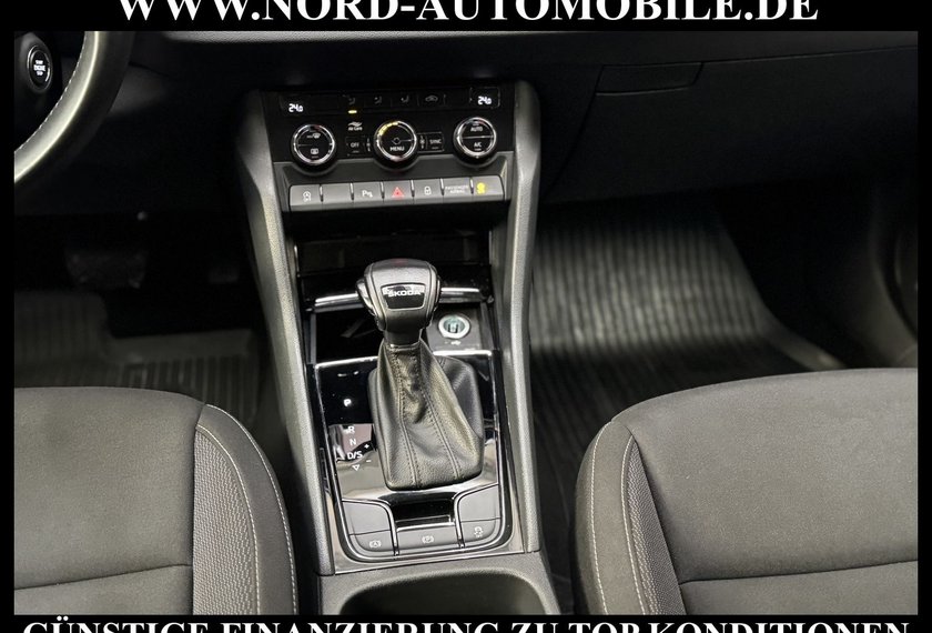 Skoda Karoq Karoq Ambition 2.0 TDI DSG Kamera/AHK/ACC/Navi/