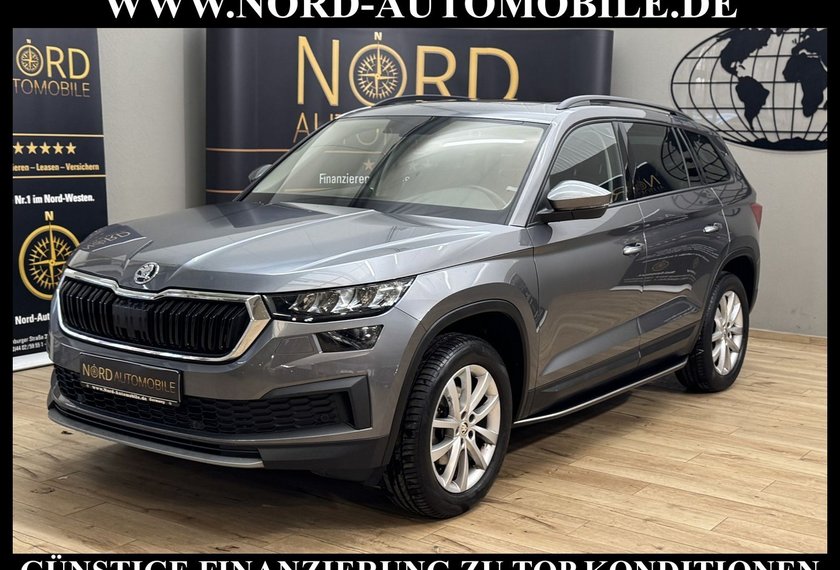Skoda Kodiaq Kodiaq Ambition 2.0 TDI DSG Leder/AHK/Trittbrett