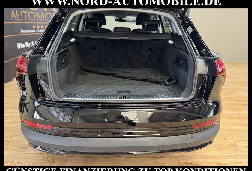 Audi e-tron e-tron 55 QU. Leder/Kamera/Navi/LED/20/97,9%