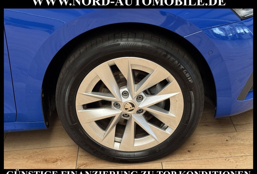Skoda Octavia Octavia Combi 2.0 TDI DSG Style LEDER*AHK*MATRIX