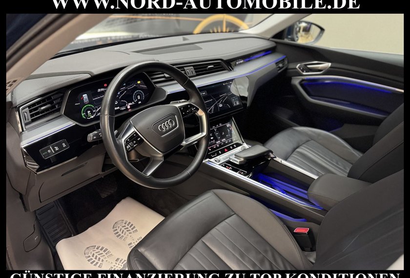 Audi e-tron e-tron qu. Automatik Teilleder/Kamera/20