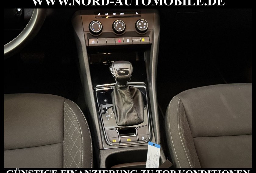 Skoda Karoq Karoq Ambition 2.0 TDI DSG Navi/PDC/SHZ/17