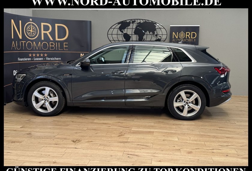 Audi e-tron e-tron 55 QU.Advanced Automatik Kamera/Navi/LED