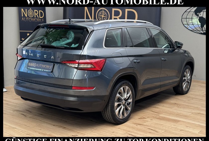 Skoda Kodiaq Kodiaq 2.0 TSI DSG Area View/Navi/LED/19/