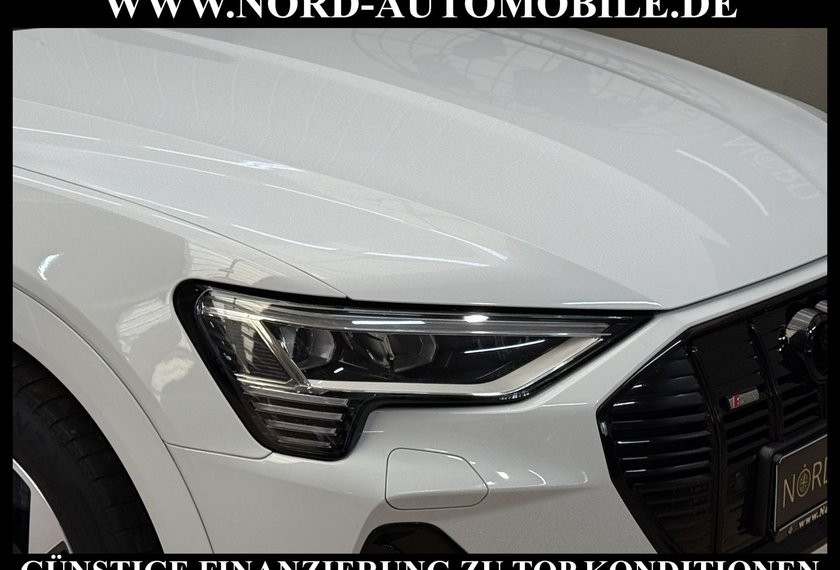Audi e-tron e-tron 50 QU.S-Line Teilleder/Kamera/LED/Navi/20
