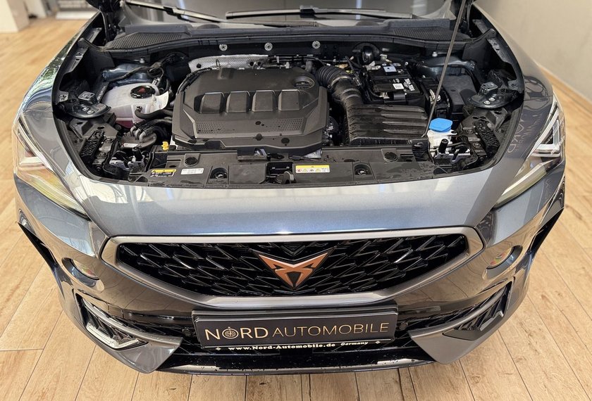Cupra Formentor Formentor 2.0 TDI 4Drive Kamera/ACC/Side&amp;Lane/