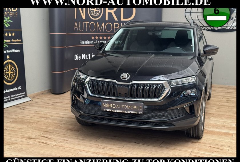 Skoda Karoq Karoq Style 2.0 TDI DSG Virt.Cockpit/Kamera/18