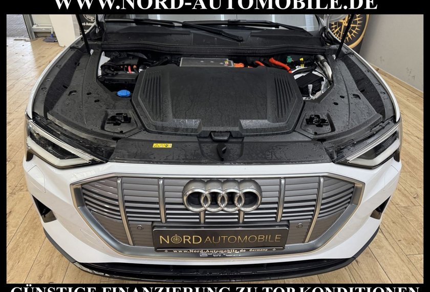 Audi e-tron e-tron 50 QU. Leder/Navi/Kamera/20/Tour/ACC