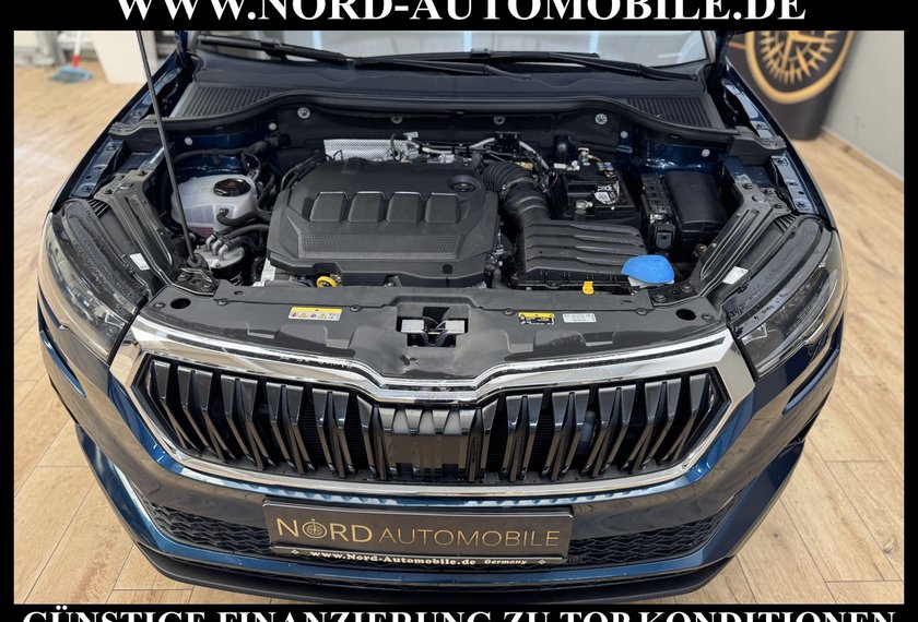 Skoda Karoq Karoq Ambition 2.0 TDI DSG Kamera/AHK/ACC/Navi/